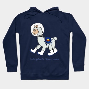 Intergalactic Space Llama Hoodie